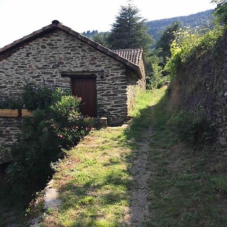 Maison Rurale Au Coeur Des Cevennes Ardechoises Dompnac Dış mekan fotoğraf