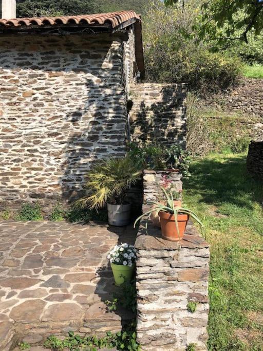 Maison Rurale Au Coeur Des Cevennes Ardechoises Dompnac Dış mekan fotoğraf