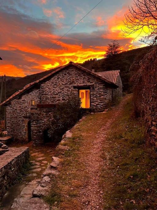Maison Rurale Au Coeur Des Cevennes Ardechoises Dompnac Dış mekan fotoğraf