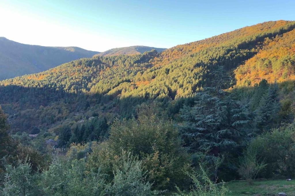 Maison Rurale Au Coeur Des Cevennes Ardechoises Dompnac Dış mekan fotoğraf